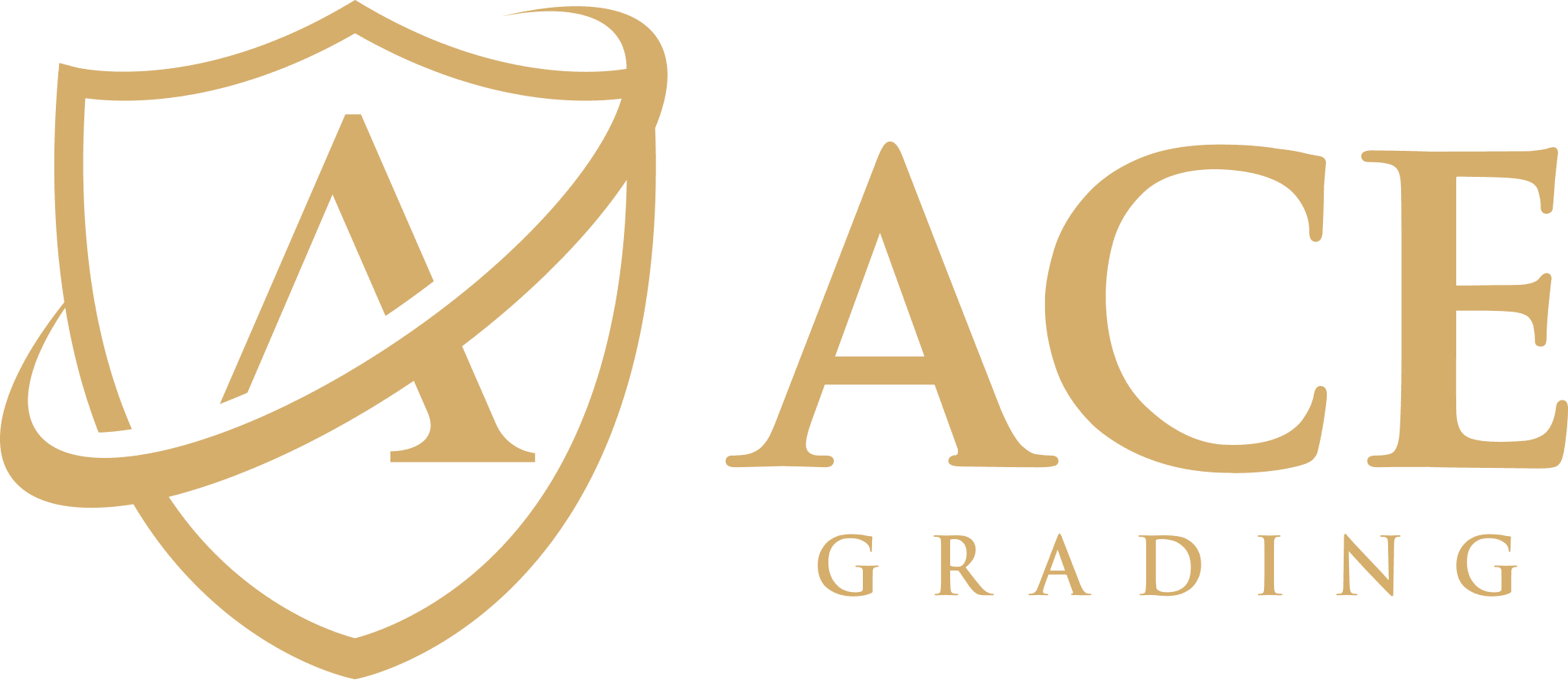 ACE logo